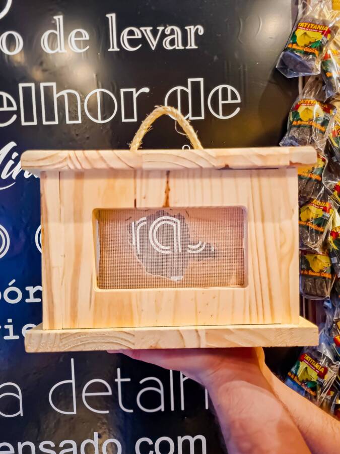 Maturador para Queijos - 1 andar - Imagem 3